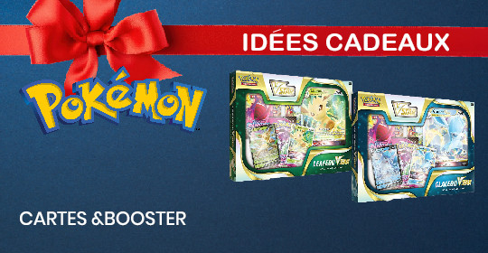Destockage Pokemon